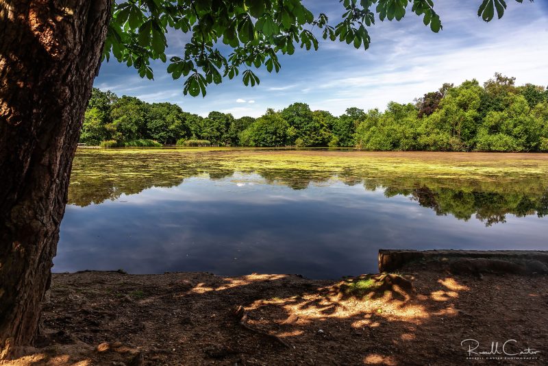 Epping Forest