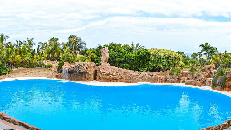 Dolphin Pool, Loro Parque